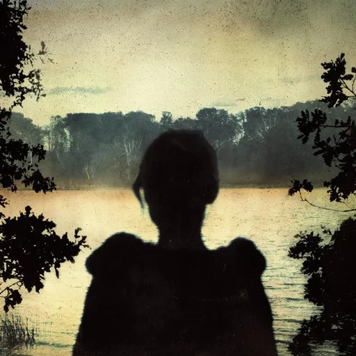 Karaoke Shallow von Porcupine Tree — mit Songtext mitsingen auf Singa