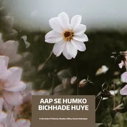 Omslagsbild för Aap Se Humko Bichhade Huye - Manhar Udhas,Suman Kalyanpur,Vishwas karaokeversion