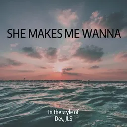 Cover art for She Makes Me Wanna - Dev,JLS karaoke version
