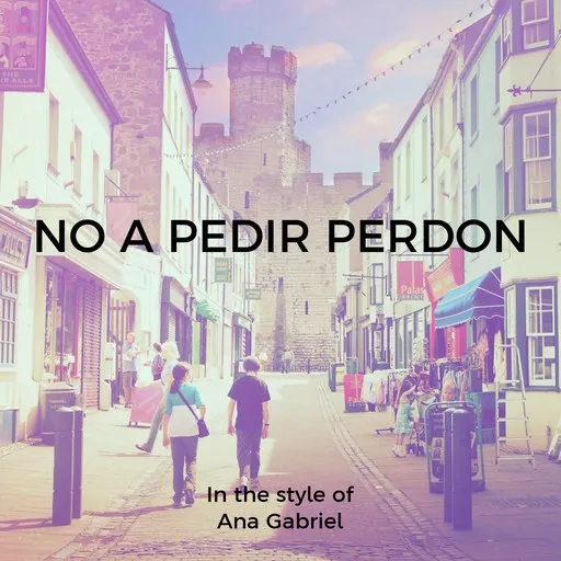 No A Pedir Perdon - Karaoke