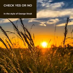 Cover art for Check Yes or No - George Strait karaoke version
