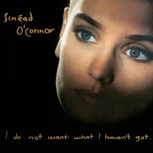 Karaoke I Am Stretched on Your Grave von Sinéad O'Connor — mit Songtext mitsingen auf Singa