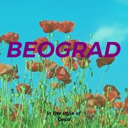 Cover art for Beograd - Ceca karaoke version