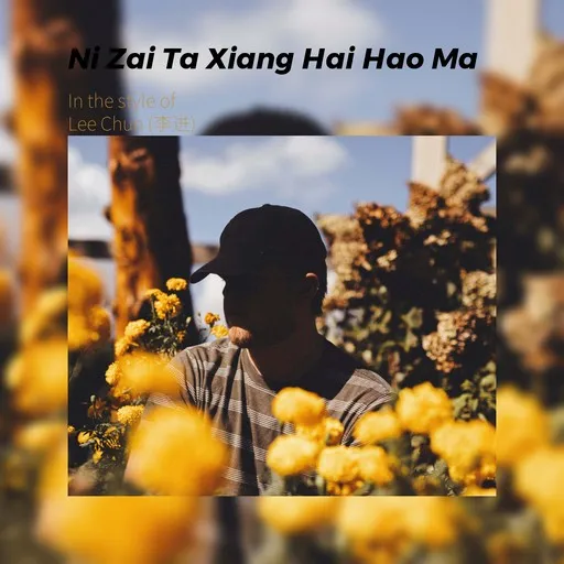 Karaoke 妳在他乡还好吗 von Lee Chun (李进) — mit Songtext mitsingen auf Singa