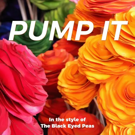 Karaoke Pump It av Black Eyed Peas — sjung med på texten på Singa