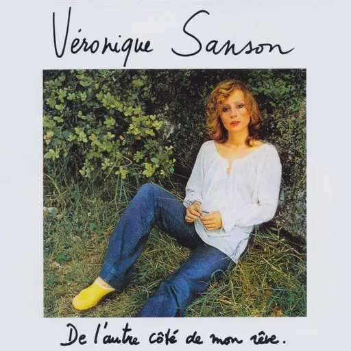 Chanson sur ma drôle de vie - Karaoke
