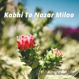 Titelbild für Kabhi To Nazar Milao - Adnan Sami,Asha Bhosle Karaoke-Version