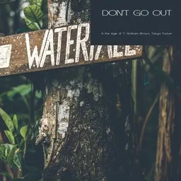 Cover art for Don't Go Out - T. Graham Brown,Tanya Tucker karaoke version