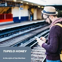 Karaokekappaleen Tupelo Honey - Van Morrison kansikuva