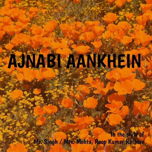 Karaoke Ajnabi Aankhein von Mr. Singh / Mrs. Mehta, Roop Kumar Rathore — mit Songtext mitsingen auf Singa