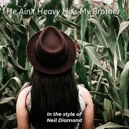 Cover art for He Ain't Heavy He's My Brother - Neil Diamond karaoke version