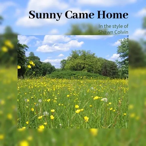 Karaoke Sunny Came Home by Shawn Colvin — sing along with lyrics on Singa