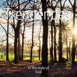 Cover art for Trenger deg - Sval karaoke version