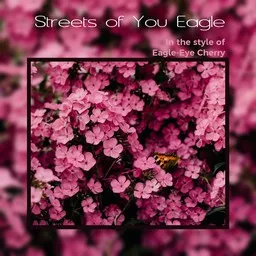 Karaokekappaleen Streets of You - Eagle-Eye Cherry kansikuva