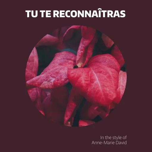 Tu te reconnaîtras - Karaoke