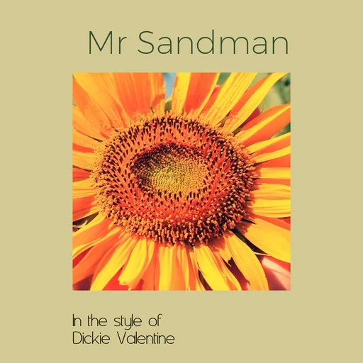 Karaoke Mr Sandman by Dickie Valentine — sing along with lyrics on Singa