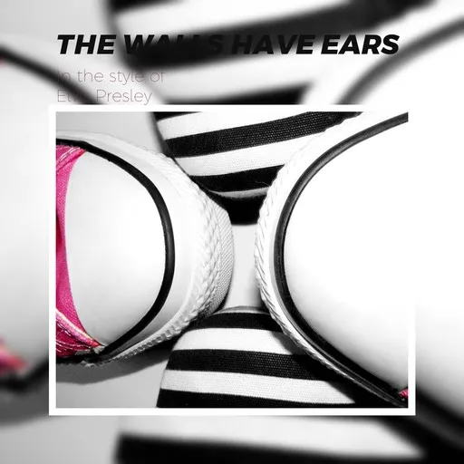 The Walls Have Ears - Karaoke