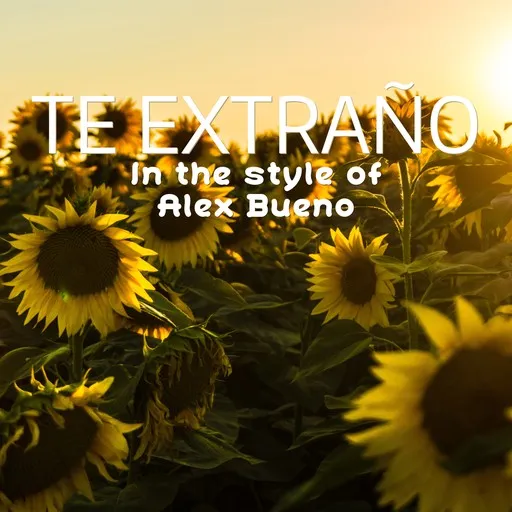Te Extraño - Karaoke