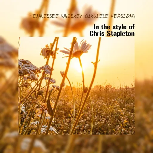 Karaoke Tennessee Whiskey (Ukulele Version) von Chris Stapleton — mit Songtext mitsingen auf Singa