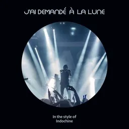 Cover art for J'ai demandé à la lune - Indochine karaoke version