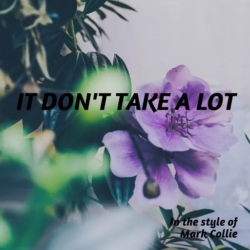 It Don't Take A Lot - Karaoke