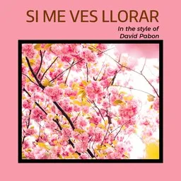 David Pabon - Karaoke