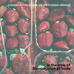 Omslagsbild för Standing At The Edge Of The Earth (Radio Version) - Blessid Union of Souls karaokeversion