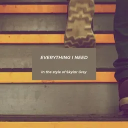 Cover art for Everything I Need - Skylar Grey karaoke version