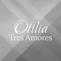 Titelbild für Tres Amores - Otilia Karaoke-Version