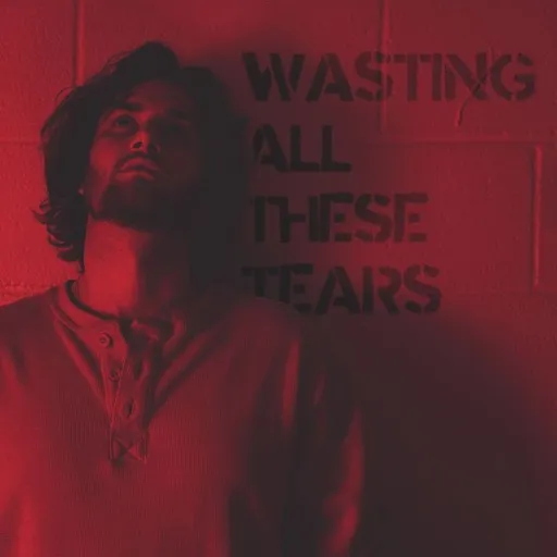 Wasting All These Tears - Karaoke