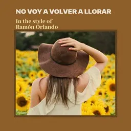 Cover art for No Voy A Volver A Llorar - Ramón Orlando karaoke version