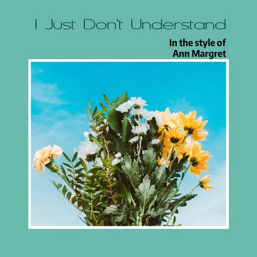 I Just Don't Understand - Karaoke