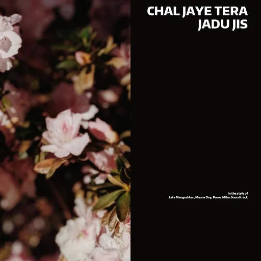 Chal Jaye Tera Jadu Jis - Karaoke