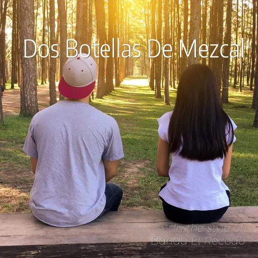 Karaoke Dos Botellas De Mezcal by Banda El Recodo — sing along with lyrics on Singa