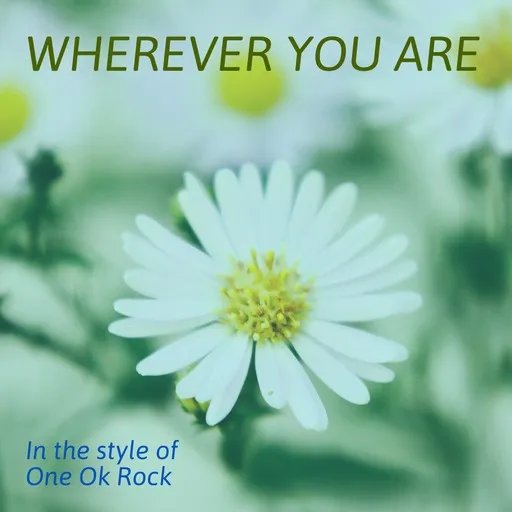 Wherever You Are - Karaoke