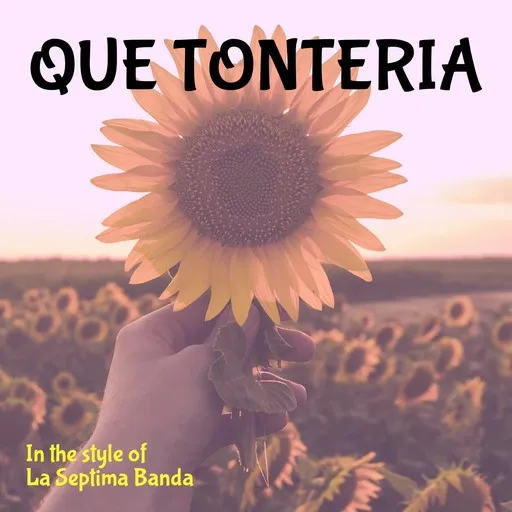 Que Tonteria - Karaoke