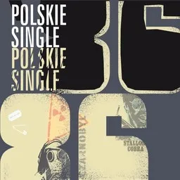 Cover art for Moja krew - Republika karaoke version