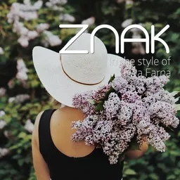 Cover art for Znak - Ewa Farna karaoke version