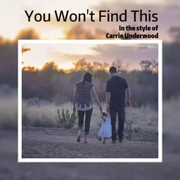 Omslagsbild för You Won't Find This - Carrie Underwood karaokeversion