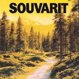 Omslagsbild för Kultamaa - Souvarit karaokeversion