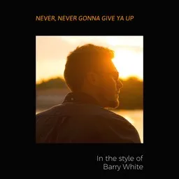 Cover art for Never, Never Gonna Give Ya Up - Barry White karaoke version