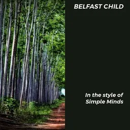 Cover art for Belfast Child - Simple Minds karaoke version