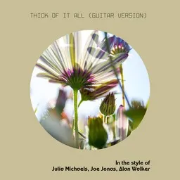 Karaokekappaleen Thick of It All (Guitar Version) - Alan Walker,Joe Jonas,Julia Michaels kansikuva