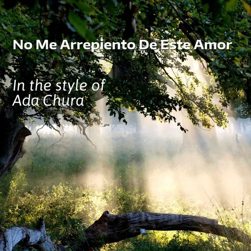 No Me Arrepiento De Este Amor - Karaoke