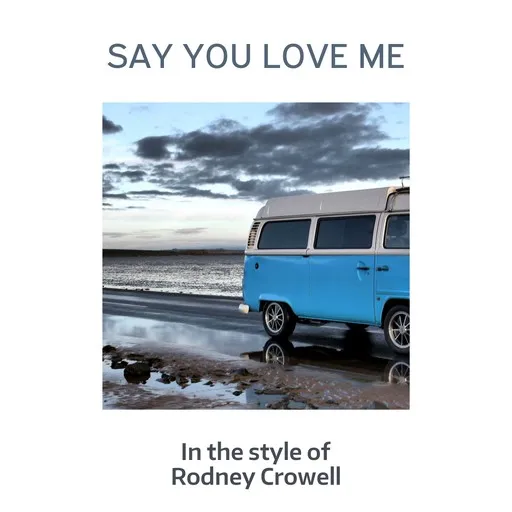 Say You Love Me - Karaoke
