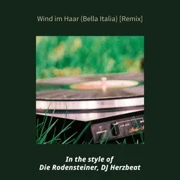 Titelbild für Wind im Haar (Bella Italia) [Remix] - Die Rodensteiner,DJ Herzbeat Karaoke-Version