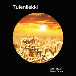 Omslagsbild för Tulenliekki - Taisto Tammi karaokeversion