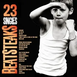 Cover art for Beatsteaks