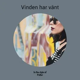 Titelbild für Vinden har vänt - Petter Karaoke-Version