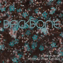 Cover art for Backbone - Chase & Status,Stormzy karaoke version